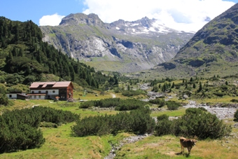 Alpenrosenhtte | Zemmgrund