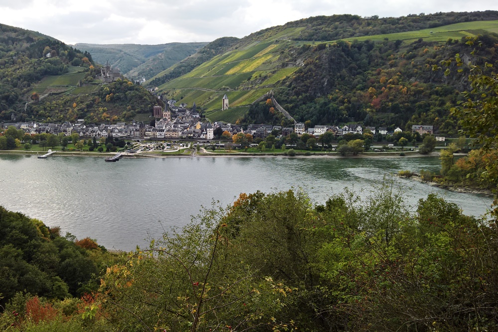 Bacharach