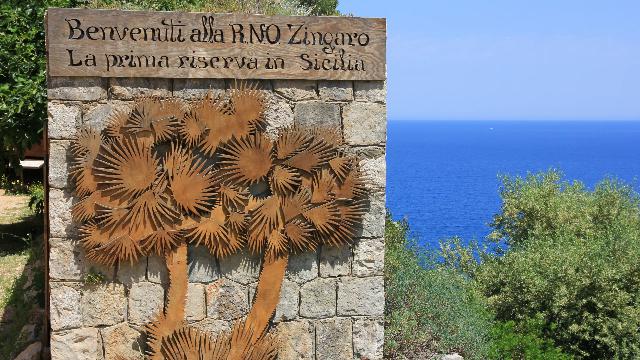 Zingaro